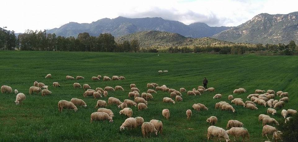 immerso nella natura più incontaminata delle nostre campagne ....